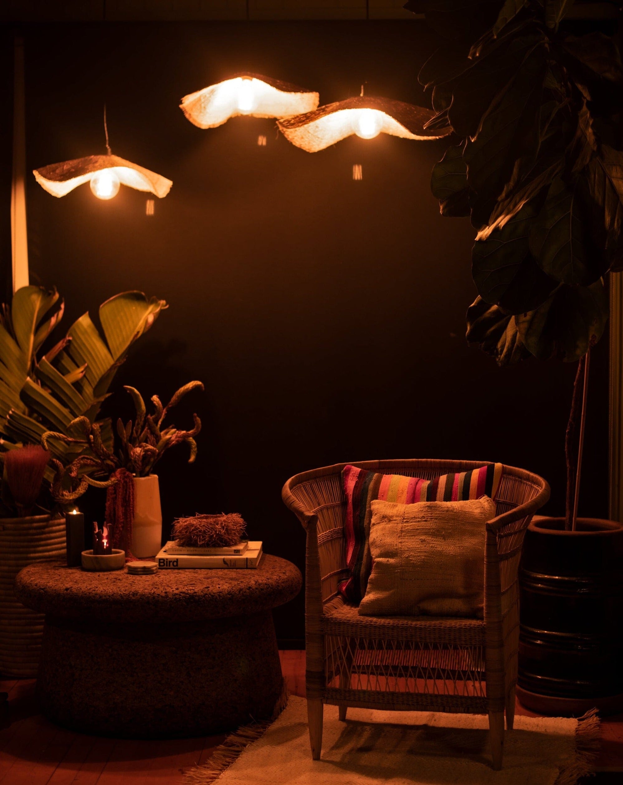 Wimbi Plain AshantiDesign